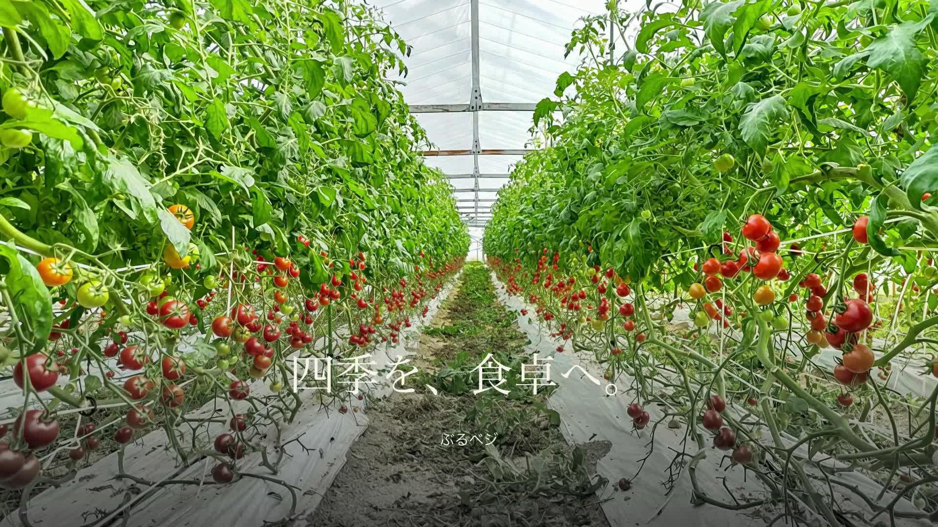 ぶるベジの四季。春、夏、秋、冬の畑から、食卓へ。